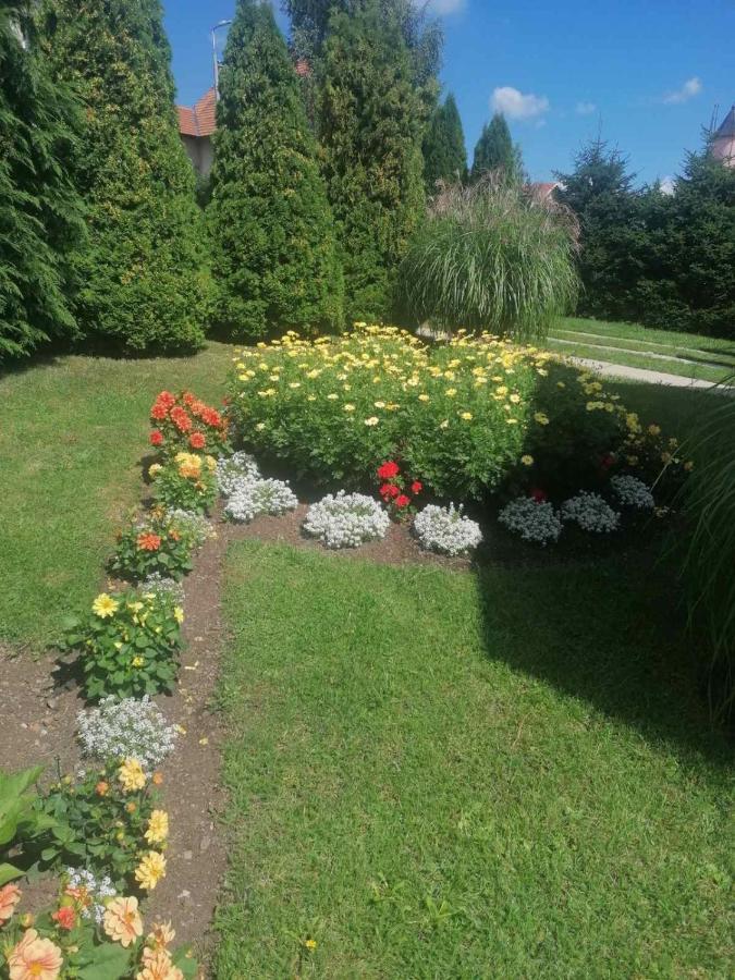 Bozovic Mv Apartments Zlatibor Ngoại thất bức ảnh